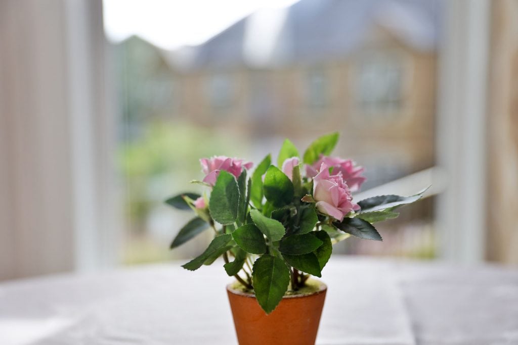 Hallamshire Care Home